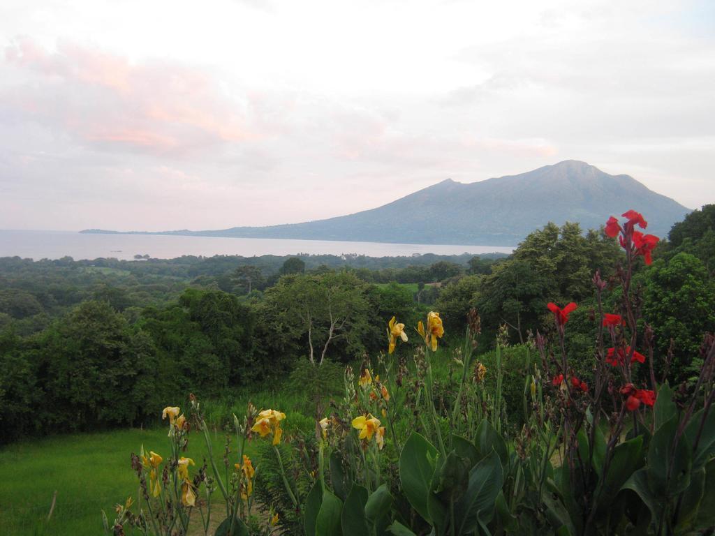 El Mirador Ecologico, Ometepe Hotel Altagracia Exterior photo
